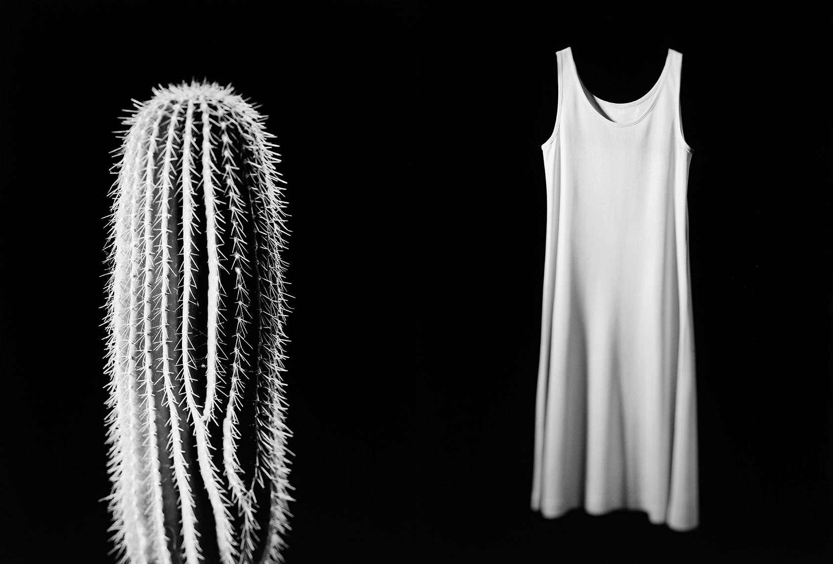 cactus - negligee