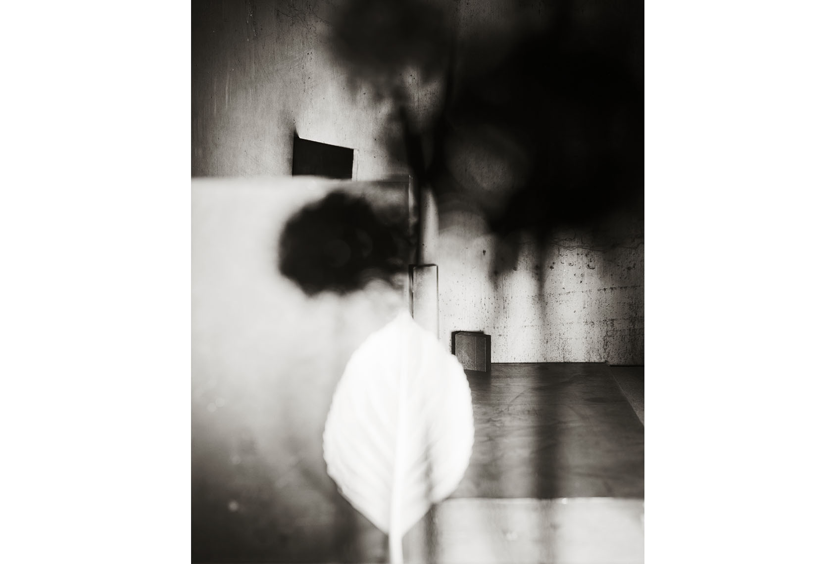 Nightgarden_7.jpg